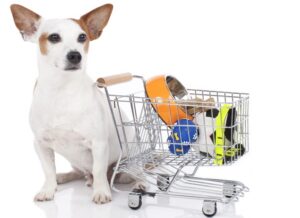 Как экономить, покупая товары для животных онлайн