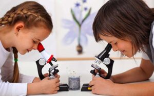 Микроскоп для школьников: как выбрать подходящую модель