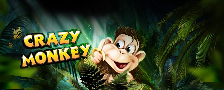 Crazy monkey slot ru4. Обезьяна казино. Игра про обезьян. Игровой автомат обезьяны. Слоты обезьянки.