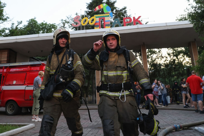 «Что ни день, то событие». Как в Ростове-на-Дону горел зоопарк
