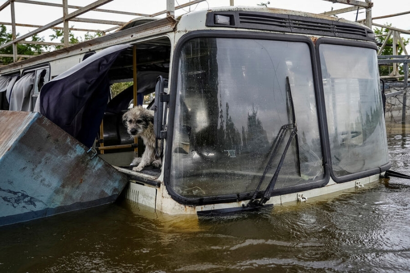 В зоне наводнения после прорыва Каховской ГЭС увеличилось число погибших