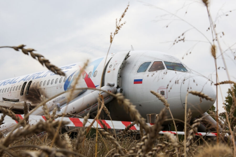 «Известия»: самолет, севший в поле под Новосибирском, могут разобрать