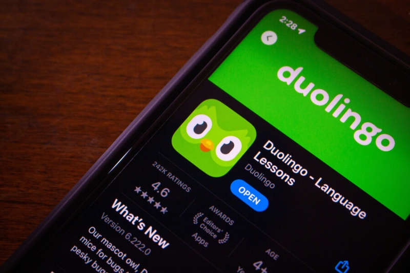 Роскомнадзор проверяет Duolingo на пропаганду ЛГБТ