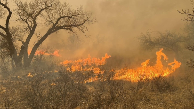В Техасе из-за природных пожаров погиб человек