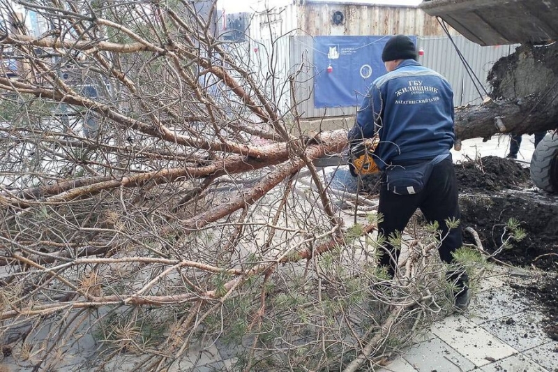 Собянин: из-за штормового ветра в Москве погибли два человека, 15 пострадали