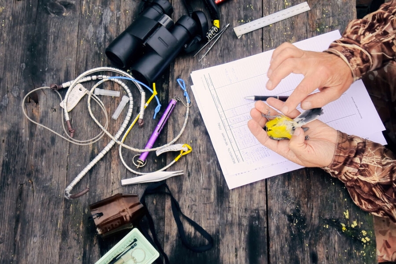 19&nbsp;февраля &mdash; какой сегодня праздник? Что отмечают в&nbsp;этот день в&nbsp;России и мире