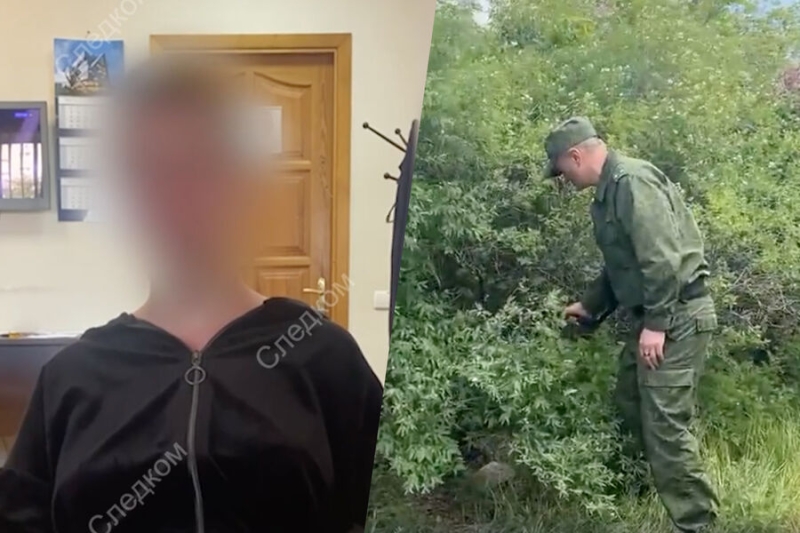 Фанатка &laquo;битцевского маньяка&raquo; убила ребенка. На&nbsp;допросе она рассказала, что это не первая жертва