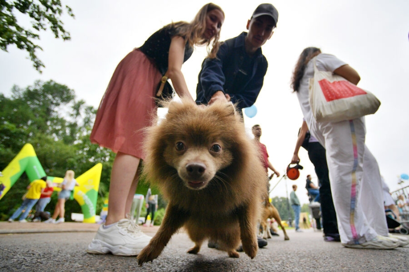 «Тогда бездетные не имеют права жить»: в Госдуме разнесли идею отменить пенсии в России