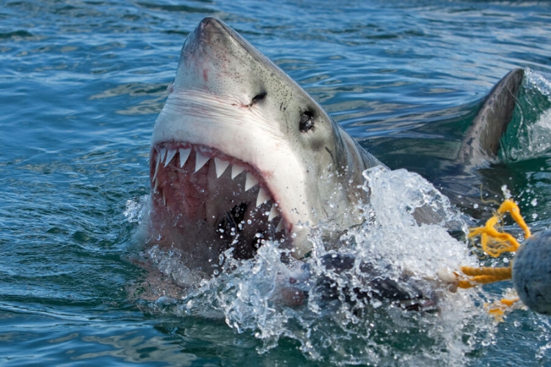 14&nbsp;июля &mdash; какой сегодня праздник? Что отмечают в&nbsp;этот день в&nbsp;России и мире