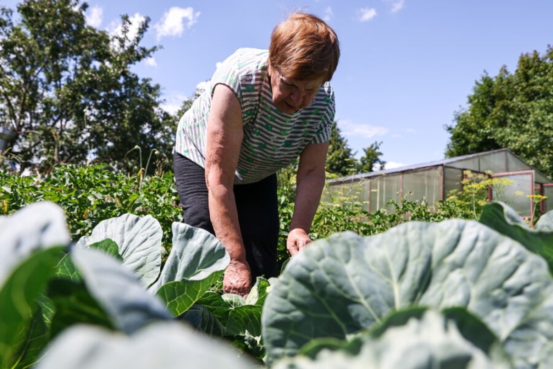 23 июля — какой сегодня праздник? Что отмечают в этот день в России и мире